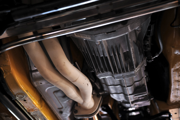 131027 kuma 6 DSC_5806.jpg